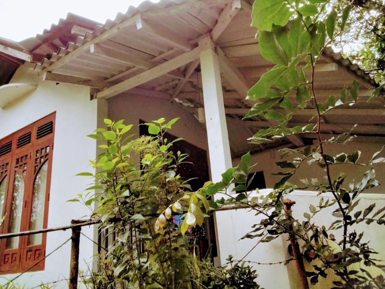 Ella Mount Villa Dış mekan fotoğraf
